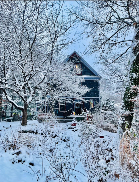 A wooden house and garden all covered in an inch or two of snow. It looks very Christmassy.