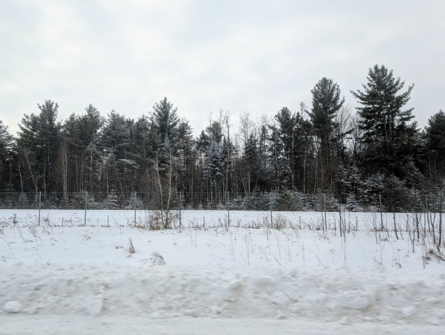A picture taken from the passenger window. You can see trees (mostly conifers) with snow, and the ground is covered with multiple inches of snow