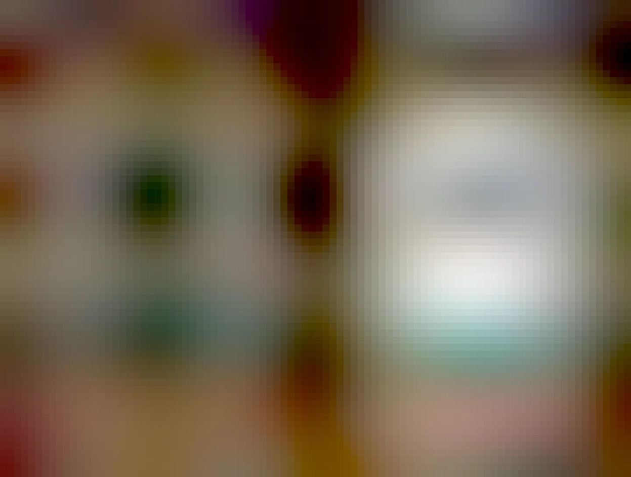 A photo of a retrodesk setup with a quadra 605 and apple portrait display, and plugged into it next to it, turned on, is about a 15" LCD that's also a portrait display - it pivots! Shown in portrait display, it shows a screenshot of portrait desktop on it.