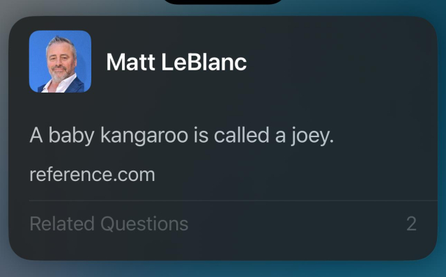 Screenshot from iOS showing the actor Matt LeBlanc. The text reads “A baby kangaroo is called a Joey.”