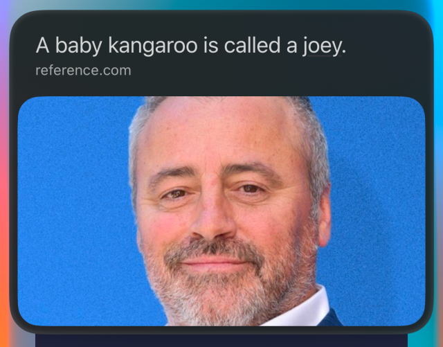 Screenshot of an Apple “Intelligence” flavored Siri response that shows the text, “a baby kangaroo is called a joey” with a ginormous picture of the actor Matt LeBlanc, who played the character Joey on the TV sitcom “Friends.”

The question asked was, “What is a baby kangaroo called?”