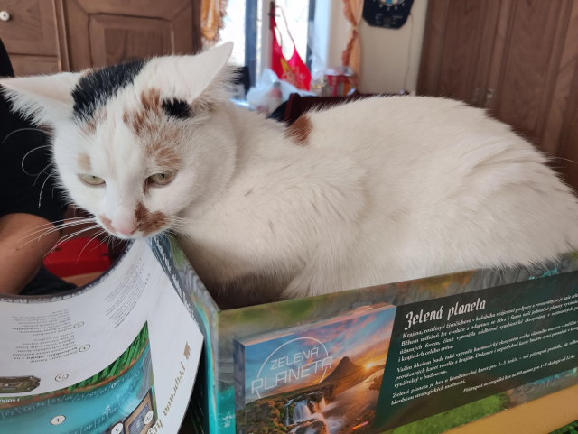 Me lying down in the bottom box cover