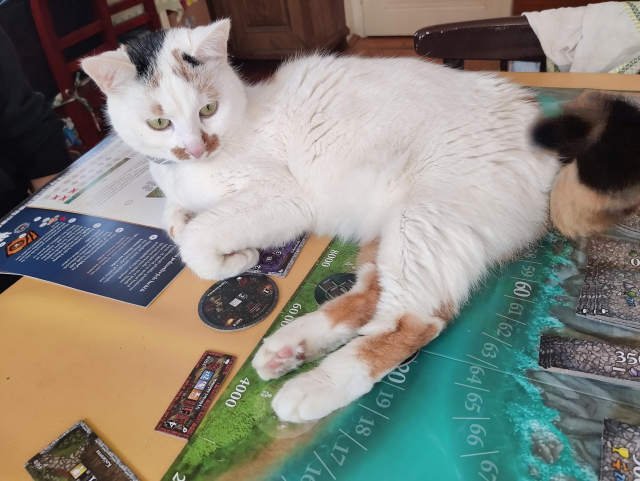 Me lying down on the game board