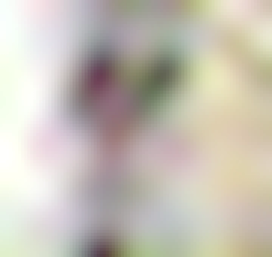 Mème représentant un chien tenant une pancarte "interdit aux chiens svp" dans la gueule, entouré des mots Become Ungovernable 