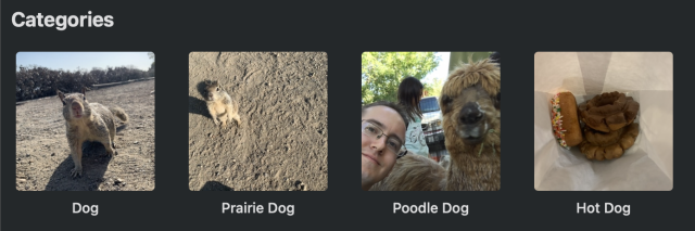 iOS classification of 4 photos:

1. Squirrel labeled as “Dog.”

2. Squirrel labeled as “Prairie Dog.”

3. Myself and an alpaca labeled as “Poodle Dog.”

4. Donuts labeled as “Hot Dog.”