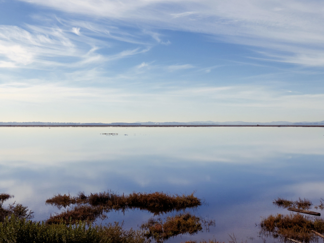 Blue sky and blue water with a thin horizontal line separating them, brown vegetation in the foreground 