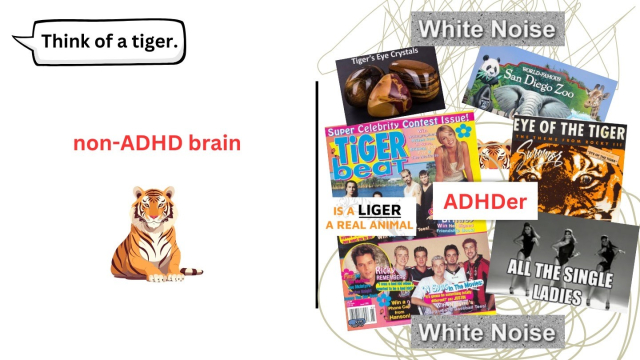 An image that humorously contrasts the thought process of a non-ADHD brain versus an ADHD brain when tasked with thinking of a tiger.

On the left, under the label “non-ADHD brain,” there’s a simple, clear image of a tiger. This represents the straightforward focus of a non-ADHD individual, where the task is completed without additional distractions.

On the right, under the label “ADHDer,” a chaotic collage of overlapping images and text surrounds the idea of a tiger. These include “Tiger’s Eye Crystals,” the Eye of the Tiger album cover, “Is a liger a real animal?,” Tiger Beat magazine covers, a San Diego Zoo reference, a White Noise label, and an image of Beyoncé’s Single Ladies dance.

This side humorously depicts how an ADHD brain leaps between tangentially related thoughts, associations, and distractions, creating a whirlwind of ideas instead of a singular focus. The visual chaos emphasizes the difficulty of staying on task for someone with ADHD.