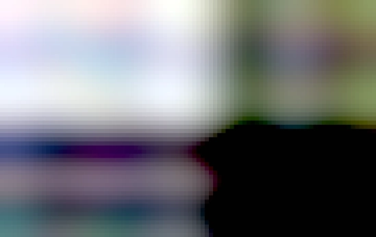 Captura de pantalla que muestra la finalización del proceso de donación al proyecto Thunderbird