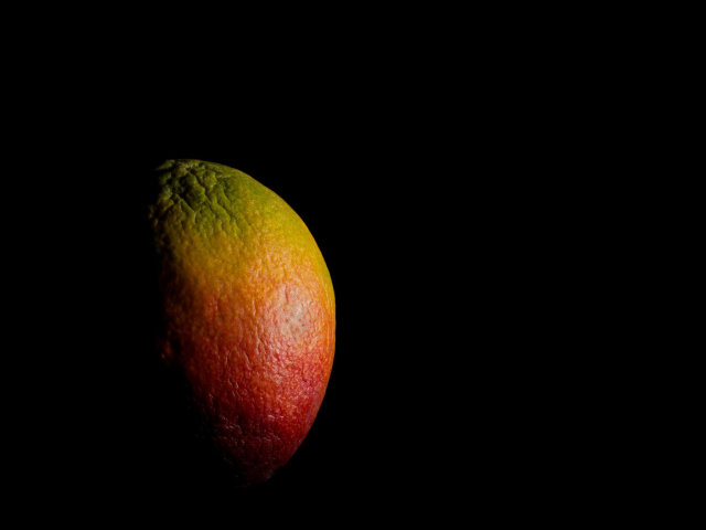 Photo of a wrinkled (not very fresh) mango against a black background. The fruit is side-lit, revealing its texture and about 1/3 of it fades into blackness, so the whole shape cannot be seen. So it’s shaped like a gibbous moon. It is red at the bottom and transitions through orange, yellow, and green at the top.