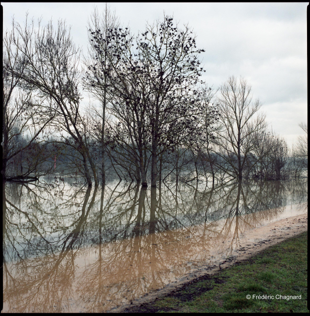 The Saône River in flood drowns the banks and spreads widely. Silhouettes of flooded trees are reflected in the water. Photo taken with a 6w6 medium format camera on color negative film.