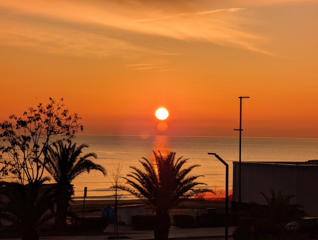 A breathtaking sunrise unfolds over the horizon, painting the sky with hues of soft gold, vibrant orange, and delicate pink. The calm sea mirrors the sky’s warmth, signaling the start of a new day. Silhouettes of palm trees stand gently against the morning light, while a quiet, distant structure anchors the scene. As the first light of dawn breaks through, it brings with it a sense of renewal and hope - a reminder that each new day holds the potential for growth, beauty, and the quiet peace that exists in the world despite everything.