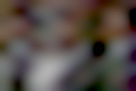 A group of billionaires stand together at a formal event.