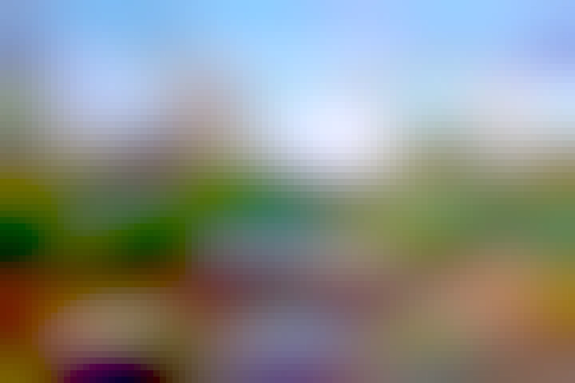 mt. view campus with building 42 in the background