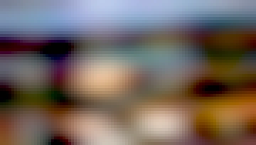 Se ve la pantalla del ordenador del tipo. Comprando vino online