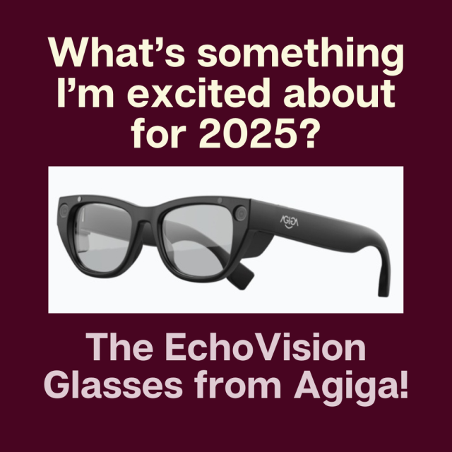 What's something I'm excited about for 2025? The EchoVision Glasses from Agiga! Shows an image of the Echo Vision glasses.

From Agiga:
The AGIGA smart glasses combine sleek, modern aesthetics with practical functionality, mirroring the appearance of traditional eyewear. The frames feature a minimalist black finish for a refined, professional look. A discreet front-facing camera is seamlessly integrated into the upper corner of the lens frame. The slightly thicker temples house the internal components and are subtly branded with the AGIGA logo on one side. Magnetic connectors at the top edges of the frames enable attachment of sunglass lenses. Designed with ergonomics in mind, the glasses are lightweight and comfortable, ensuring they are suitable for extended daily use.