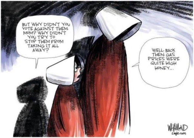 An adult and a child wearing outfits reminiscent of Handmaiden's Tale, the child is asking "But why didn't you vote against them mom? Why didn't you try to strop them from taking it all away?" the adult responds "Well back then gas prices were quite high honey..."