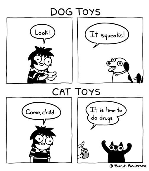 Comic by sarahandersen of a 4-panel comic with 2 sections. First two panels, labeled "DOG TOYS", Sarah is saying to her dog, "Look! It squeaks!"
Last two panels, labeled "CAT TOYS", she is saying to her cat while opening a bottle of catnip, "Come, child. It is time to do drugs." The kitty is is very excited.