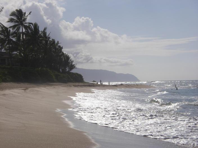 a photography of Laniakea Beach, on the north shore of Oʻahu, Hawai'i