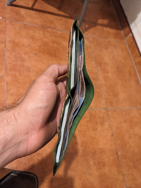 la cartera abierta, dejando ver algunos billetes ya acomodados y varias tarjetras