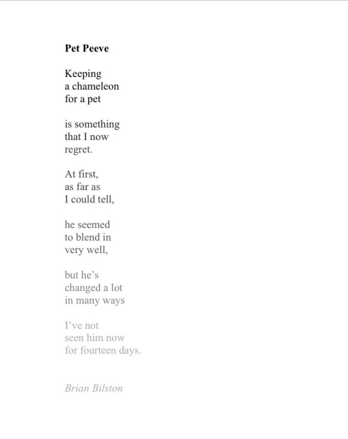 Pet Peeve 
 
Keeping 
a chameleon 
for a pet 
 
is something 
that I now 
regret. 
 
At first, 
as far as 
I could tell, 
 
he seemed 
to blend in 
very well, 
 
but he’s 
changed a lot 
in many ways 
 
I’ve not 
seen him now 
for fourteen days. 


Brian Bilston 

(The words in this poem gradually fade line by line)