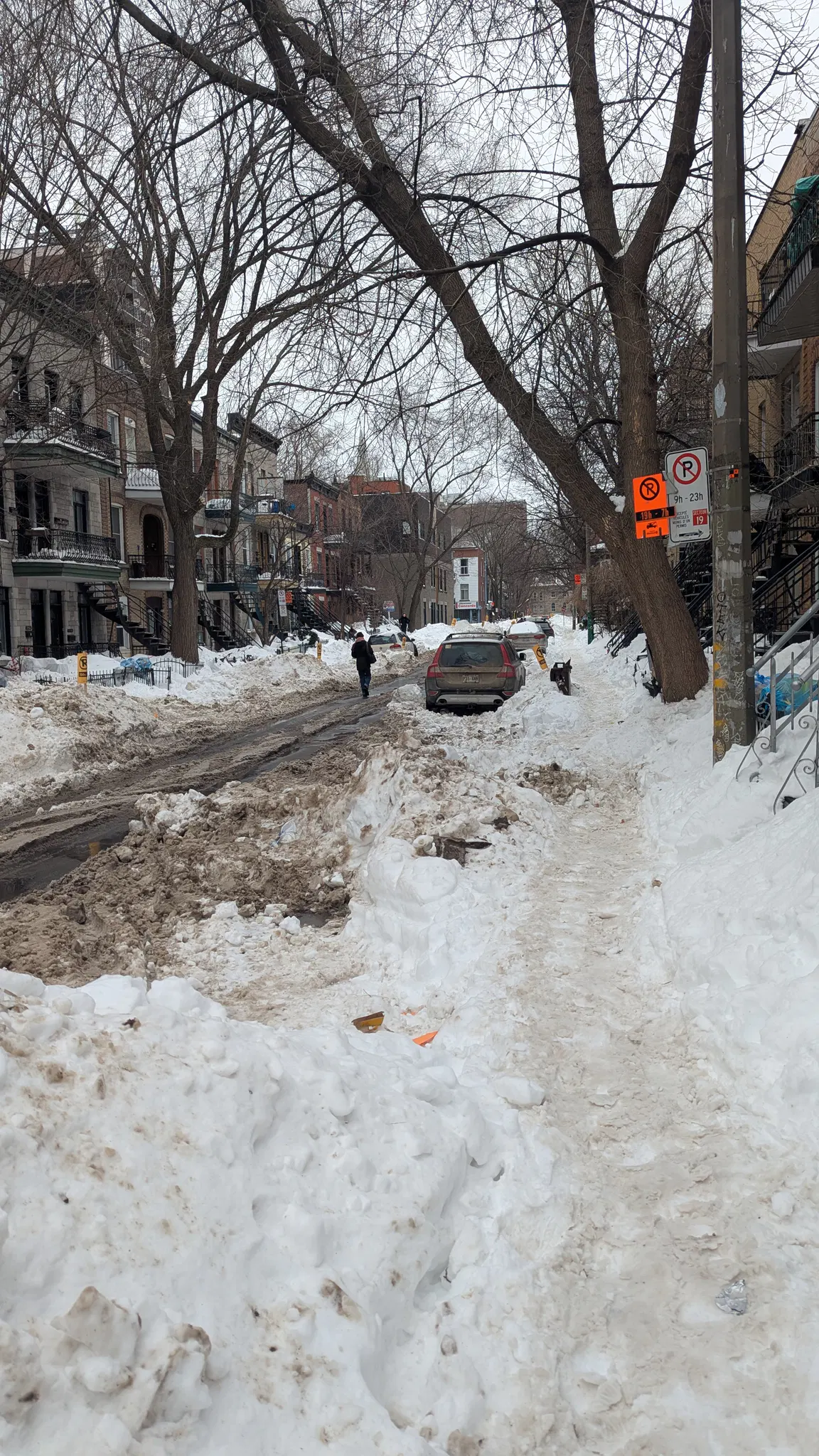 A street in Montreal. There is a no parking (indicating that a snow clearing operation is upcoming) sign visible.