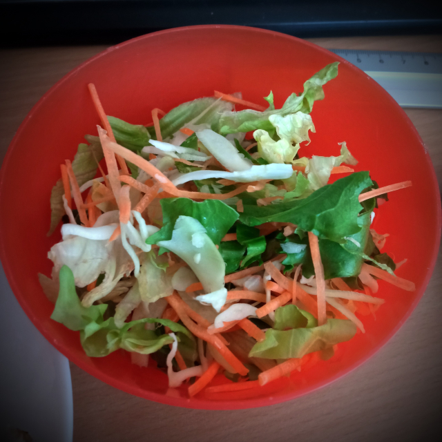 Miska s mixovaným salátem. Je v něm mrkev, zelí, asi ledový salát a tak... Přesně nelze identifikovat.