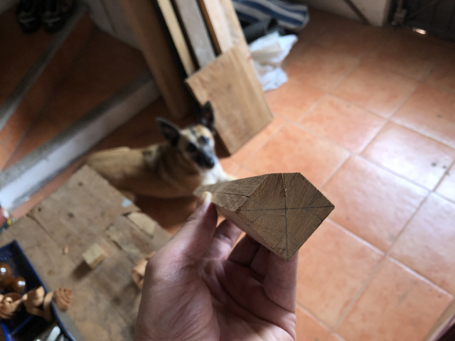 Una esquina terminada. Van las otras tres. Gaia observa echadita desde el piso, después de que le cerré la puerta porque hizo una gran excavación en el jardín.