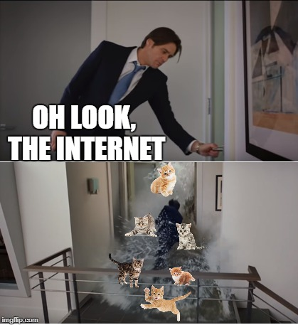 A meme in two parts:
On the upper side of the image, a man is about to open a door, the text says "Oh look, the Internet!".
On the lower side, the man is flooded with cute kittens jumping from behind the door.