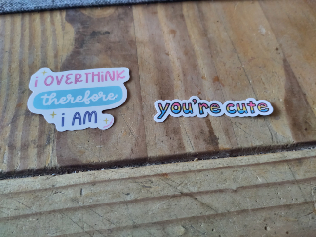 Two stickers lying on a wooden table.

The first says: "I overthink therefore I am"
The second says "you're cute" and has the pansexual flag colors.