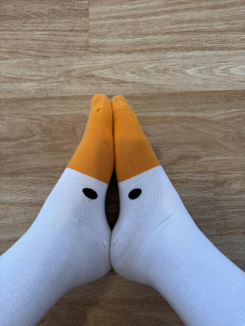Untitled goose socks on feet, soles pressed together