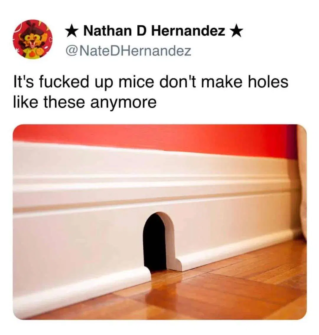 @NateDHernandez on Twitter:

it's fucked up mice don't make holes like these anymore

(attached is an image of a cartoony perfect hole in baseboard that is roughly mouse sized)