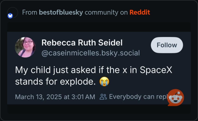Profile featuring a person’s message asking if the "x" in SpaceX stands for "explode," accompanied by a crying emoji. The post is by Rebecca Ruth Seidel, timestamped March 13, 2025, at 3:01 AM.