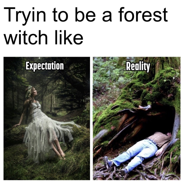A witchy meme in two panels. The text says: “Tryin to be a forest witch like”. The left panel shows the text “Expectation” and a glamorous sylphlike femme creature in a gauzy white dress and flower crown, gently reclined on a mossy log in a forest. Her skin is dewy and her hair falls in the effortless waves that can only be achieved by a lot of effort or profoundly unfair genetics. Maybe she’s born with it, maybe it’s Silvan Queen. 

The right panel shows the text “Reality” and a photo of what appears to be a middle aged fella in belted light blue jeans, a tucked in button down shirt, and trainers, lying flat on his back in the opening of a moss covered large tree trunk and appearing vaguely corps-y in a way that only someone who is both enthusiastic about what they’re looking at but also utterly done with everything can look.