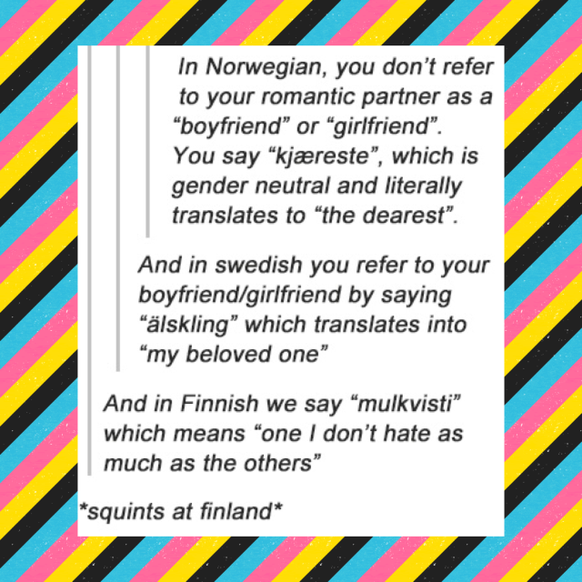 In Norwegian, you don't refer to your romantic partner as a "boyfriend" or "girlfriend". 

You say "Kjareste", which is gender neutral and literally translates to "the dearest". 

And in swedish you refer to your boyfriend/girlfriend by saying "älskling" which translates into "my beloved one" 

And in Finnish we say "mulkvisti" which means "one I don't hate as much as the others" 

*squints at finland*