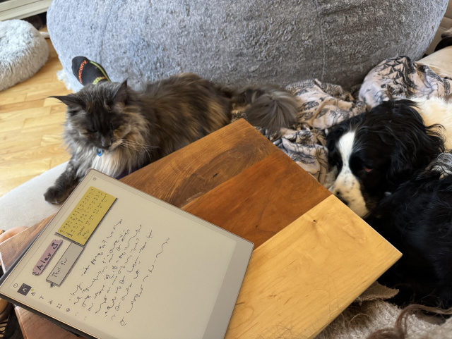 A first person perspective photo. The frame is dominated by a wooden lap desk with a reMarkable tablet on it. You can just make out my left foot, but the outstretched leg is covered with a gray and beige cat. Curled to my right is a black and white dog. We are relaxing on the couch.