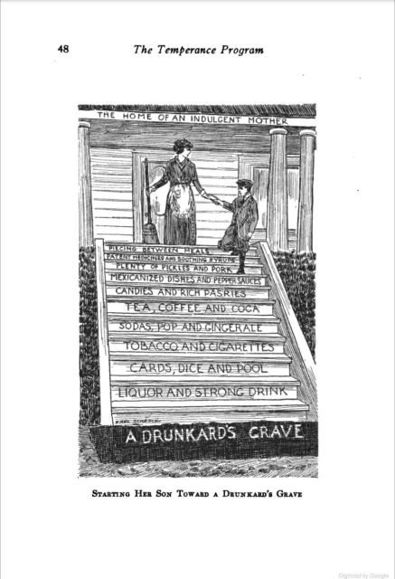 A line drawing from the temperance movement of a staircase, labeled "home of the indulgent mother". On each stair is a tiny step towards a drunkards death.