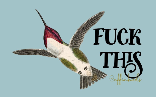 “Fuck this” next to a drawing of a bird flying away on a blue background, from effinbirds.com