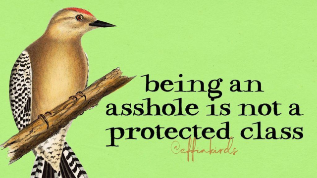A painting of a bird beside the text "being an asshole is not a protected class"