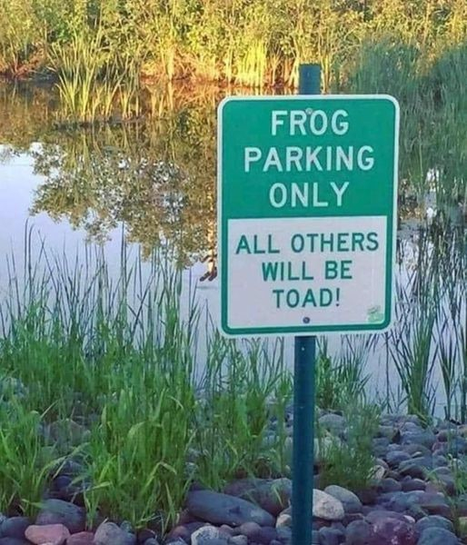 Outdoor sign next to marshland in dawn or evening sunlight.

Green top half with white writing FROG PARKING ONLY

White bottom half with green writing ALL OTHERS WILL BE TOAD