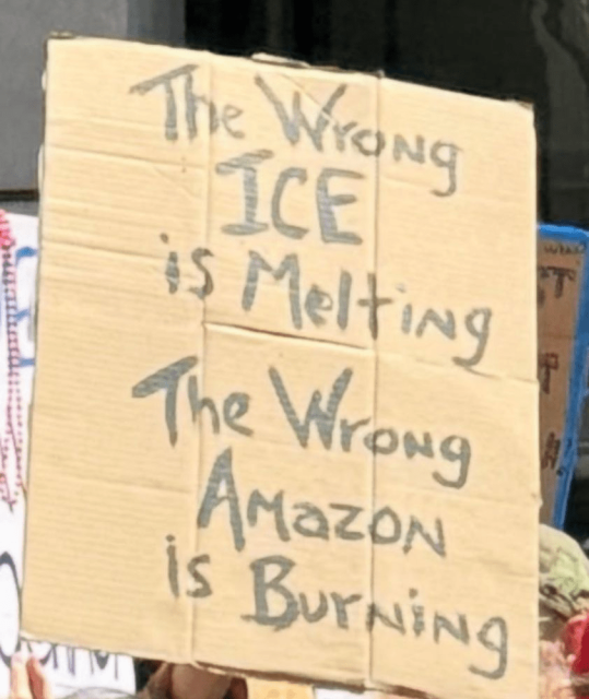 A cardboard protest sign held at a climate demonstration reads, “The wrong ICE is melting, the wrong Amazon is burning.” The text is hand-painted in bold letters, with the words “ICE” and “Amazon” emphasized. The message draws a powerful contrast between the U.S. Immigration and Customs Enforcement (ICE) and the melting polar ice, as well as the tech giant Amazon and the burning Amazon rainforest, highlighting environmental and social justice concerns. Other protest signs are partially visible in the background.
