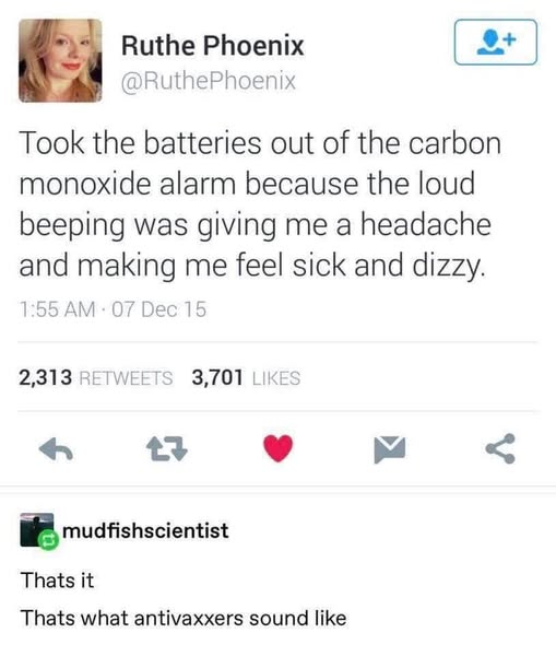 Tweet: Took the batteries out of the carbon monoxide alarm because the loud
beeping was giving me a headache and making me feel sick and dizzy.

Reply: That's it. That's what antivaxxers sound like. 

