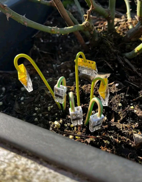 An assortment of computer cables appears to be growing out of the dirt. 