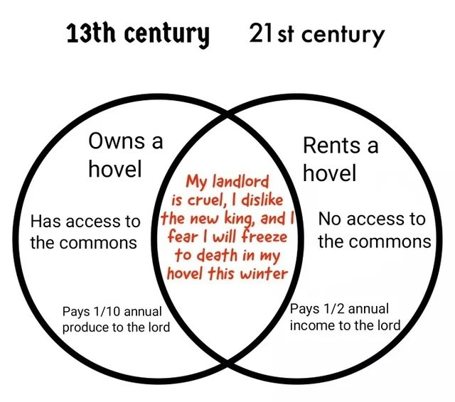 Venn diagram showing one circle labeled "13th century" and the other as "21th century"

13th century only section:
• Owns a hovel 
• Has access to the commens
• Pays ⅒ annual produce to the lord

21th century only section:
• Rents a hovel 
• No access to the commens
• Pays ½ annual income to the lord

Cross section:
My landlord is cruel, I dislike the new king, and I fear I will freeze to death in my hovel this winter