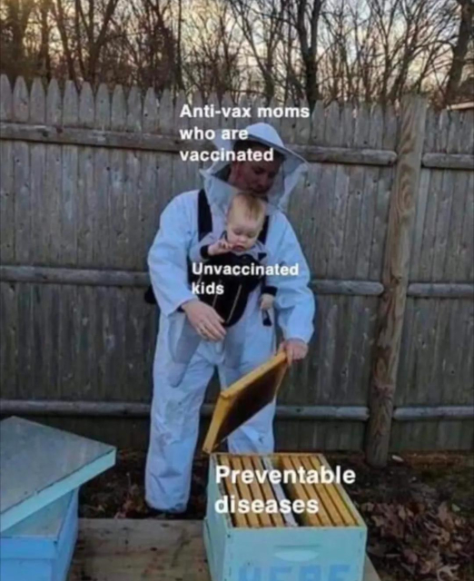 An adult in full bee protective gear holding an infant in absolutely no protective gear opening a bee hive box. 

The adult is labeled: anti-vax moms who are vaccinated 

The infant is labeled: unvaccinated kids 

The bee hive is labeled: preventable diseases 