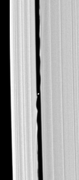 Daphnis is visible as a white speck between a more rippled ring to the left and a less rippled one to the right.   From 

https://photojournal.jpl.nasa.gov/catalog/PIA06237

"Cassini's confirmation that a small moon orbits within the Keeler gap in Saturn's rings is made all the more exciting by this image, in which the disk of the 7 kilometer-wide body (4-miles) is resolved for the first time.

The new body, provisionally named S/2005 S1, was first seen in a time-lapse sequence of images taken on May 1, 2005, as Cassini began its climb to higher elevations in orbit around Saturn (see PIA06238 for the movie). This view was acquired one day after the discovery sequence of images and has allowed scientists to measure the moon's size and brightness.

This image was obtained with the Cassini spacecraft narrow-angle camera on May 2, 2005, at a distance of about 594,000 kilometers (369,000 miles) from Saturn. Cassini was about 525,000 kilometers (326,000 miles) above the ringplane when the image was taken. Resolution in the original image was 3 kilometers (2 miles) per pixel. The image has been magnified by a factor of two, and contrast has been enhanced, to aid visibility of the small moonlet."