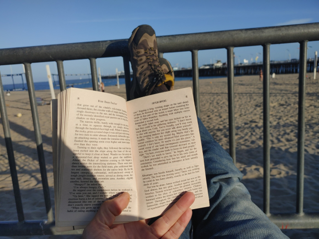Selfie: My boys on a railing, legs stretched out with volleyball courts, Santa Cruz Wharf, and the Pacific Ocean in the background, myself holding a book (Interlopers by Alan Dean Foster) with the sun seeing behind me.