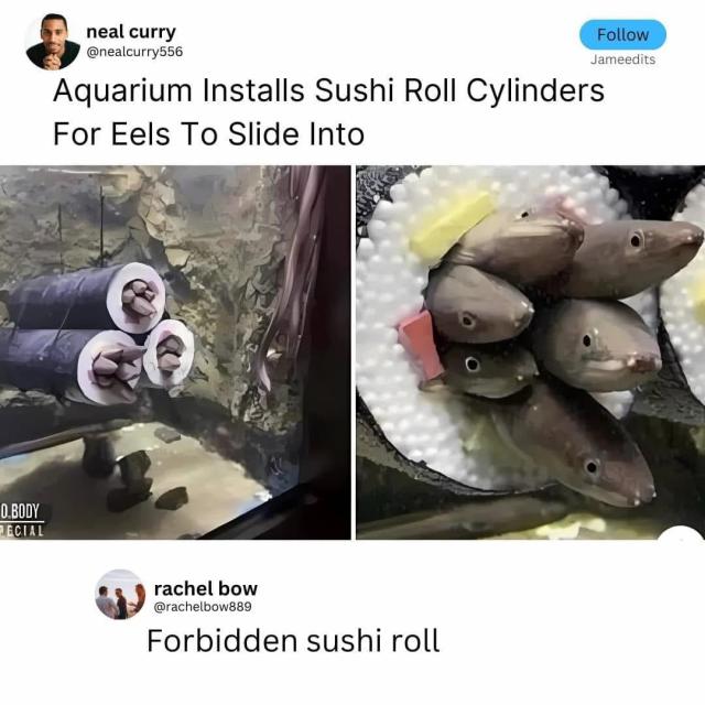 A screenshot of a twitter (I think) post showing that an aquarium had decorated eel-hidey-tubes as sushi rolls, with photos showing the eels happily hanging out in the tubes.