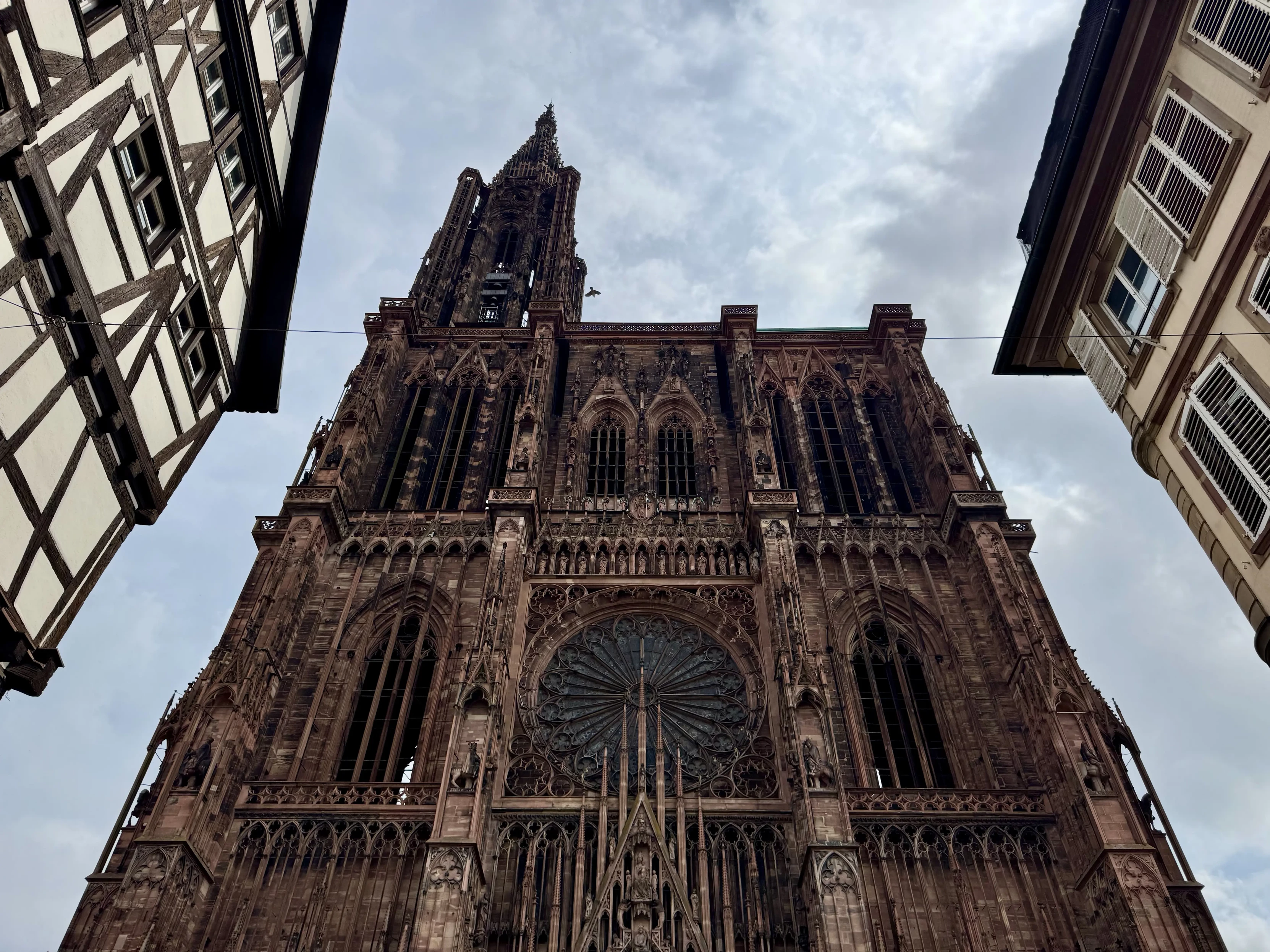 A picture of the Strasbourg cathedral, between two half-timbered houses. It's all pointy and spiky, in typical gothic style.