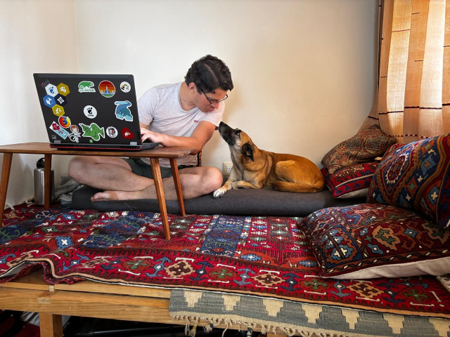 I'm sitting cross-legged behind my low wooden desk, in my office's reading alcove, hands on laptop.  Gaia, my honey-colored dog, looks up at me while she lays beside me. We are making pretty eyes at each other.  There are pillows with geometric patterns strewn about.