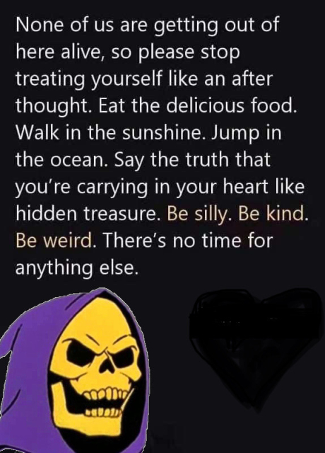 None of us are getting out of here alive, so please stop treating yourself like an after thought. Eat the delicious food. Walk in the sunshine. Jump in the ocean. Say the truth that you're carrying in your heart like hidden treasure. Be silly. Be kind. Be weird. There's no time for anything else.